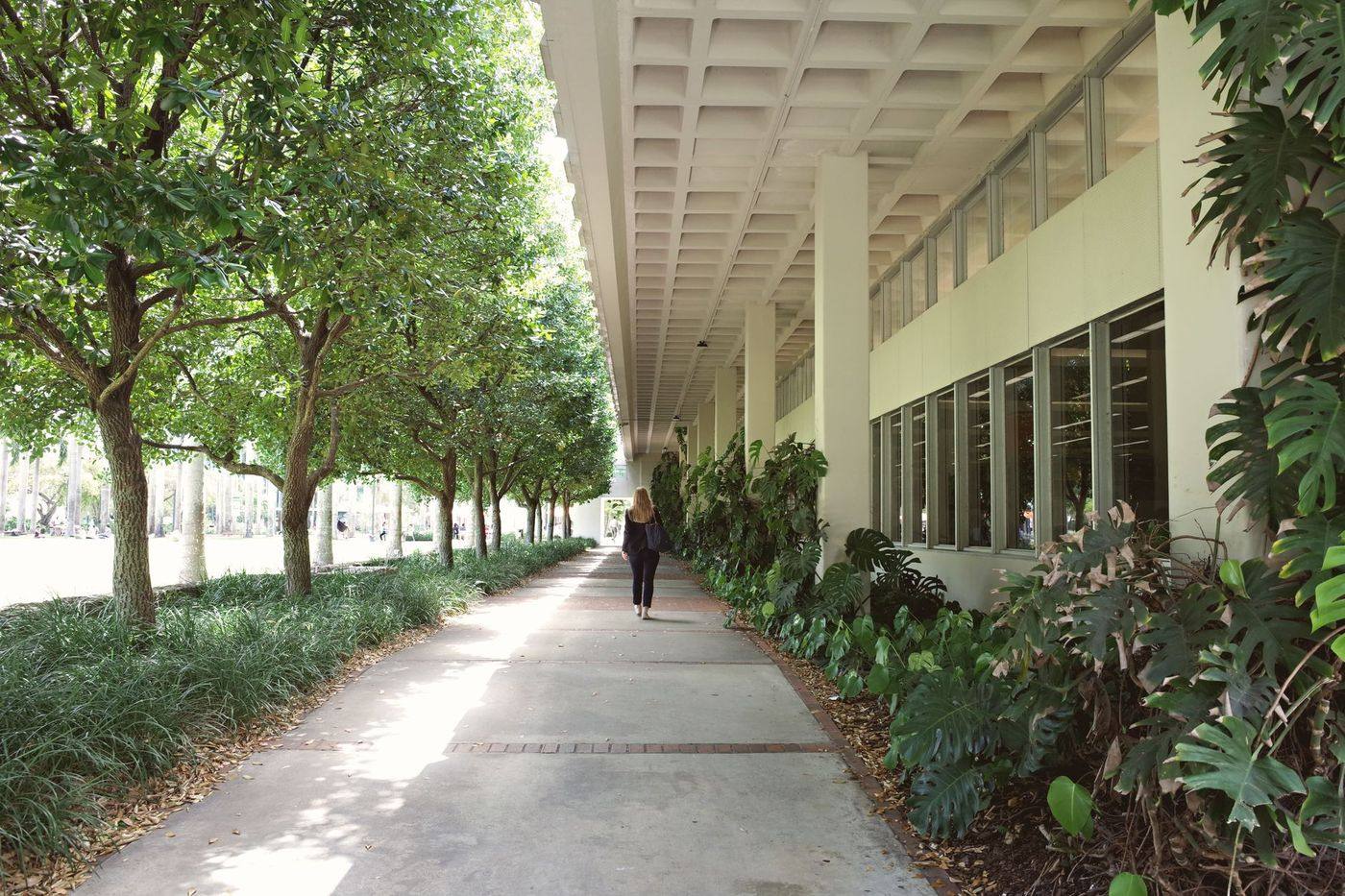 Palm-lined street in Coral Gables, Florida